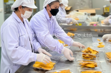 Home rich and grow unlimit co.,ltd. (1)