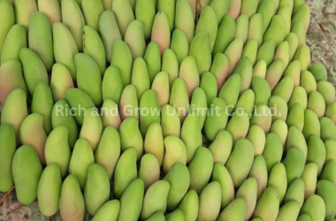 rich and grow unlimit co.,ltd. (3) rich and grow unlimit co.,ltd. (3)