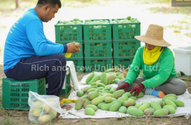 Home rich and grow unlimit co.,ltd. (9)